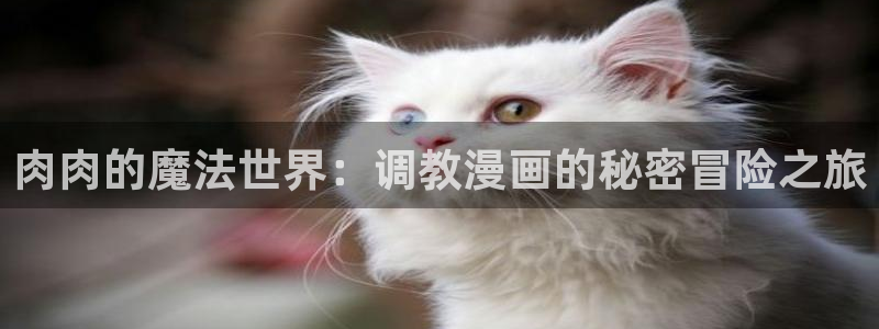 漫画之家漫画网：肉肉的魔法世界：调教漫画的秘密冒险之旅