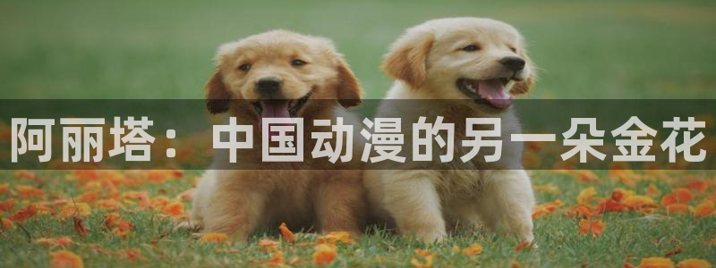 免费漫画之家：阿丽塔：中国动漫的另一朵金花